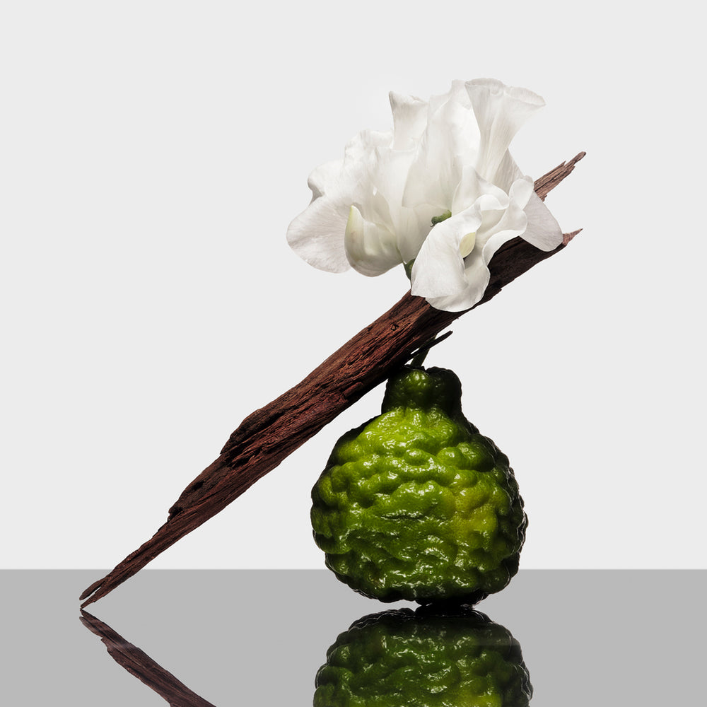 Côte d’Azur Fragrance